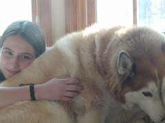 Image file: photo02.jpg