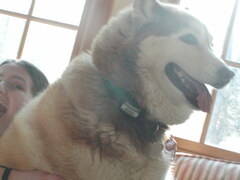 Image file: photo03.jpg