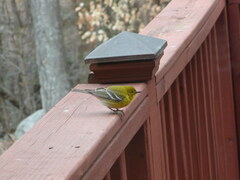 Image file: photo04.jpg