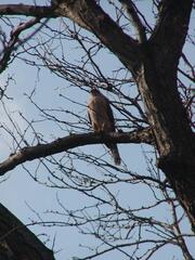 Image file: photo20.jpg