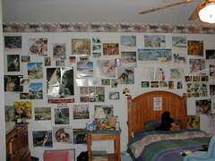 Image file: photo03.jpg