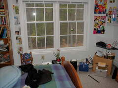 Image file: photo12.jpg