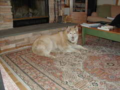 Image file: photo01.jpg