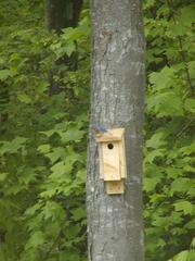 Image file: photo01.jpg