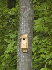 Image file: photo02.jpg