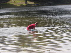 Image file: photo04.jpg