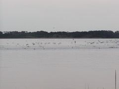 Image file: photo01.jpg