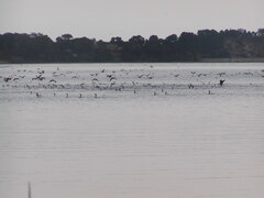 Image file: photo02.jpg