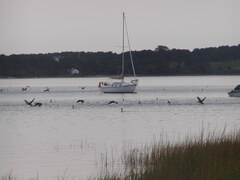 Image file: photo03.jpg