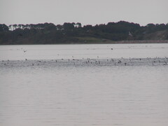 Image file: photo04.jpg