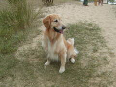 Image file: photo07.jpg