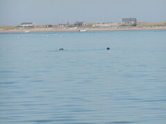 Image file: photo07.jpg