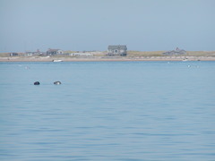 Image file: photo08.jpg