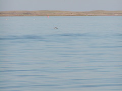 Image file: photo09.jpg