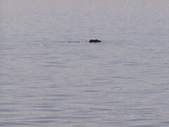 Image file: photo15.jpg