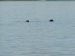 Image file: photo16.jpg