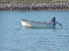 Image file: photo17.jpg