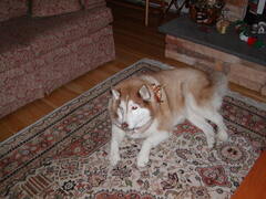 Image file: photo08.jpg