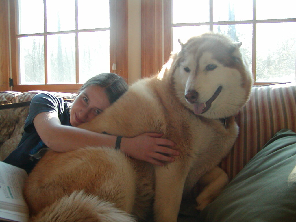 No description provided for: /2004/01-03/0323-erin+daniel+snowball/photo01.html