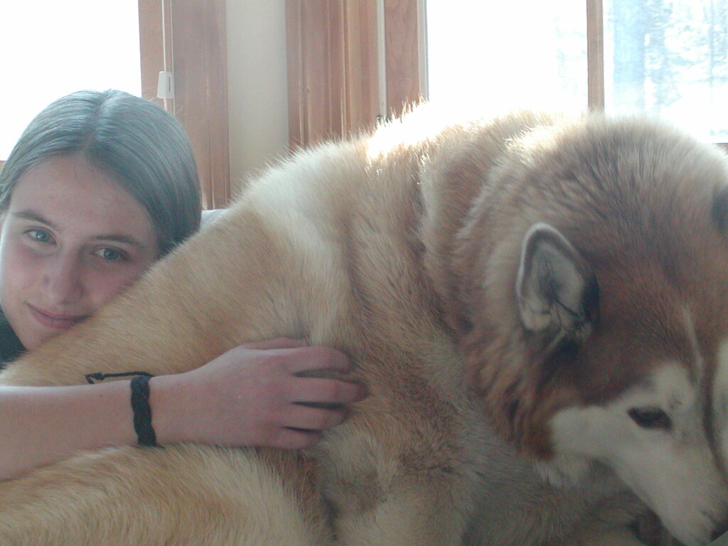 No description provided for: /2004/01-03/0323-erin+daniel+snowball/photo02.html