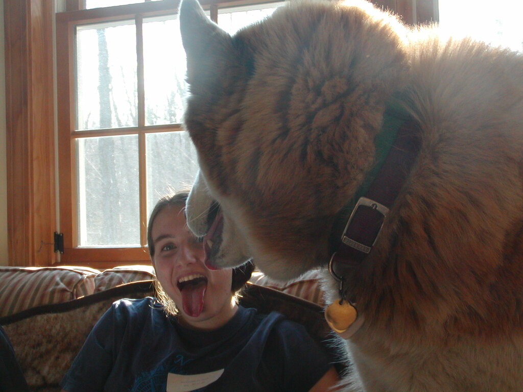 No description provided for: /2004/01-03/0323-erin+daniel+snowball/photo04.html