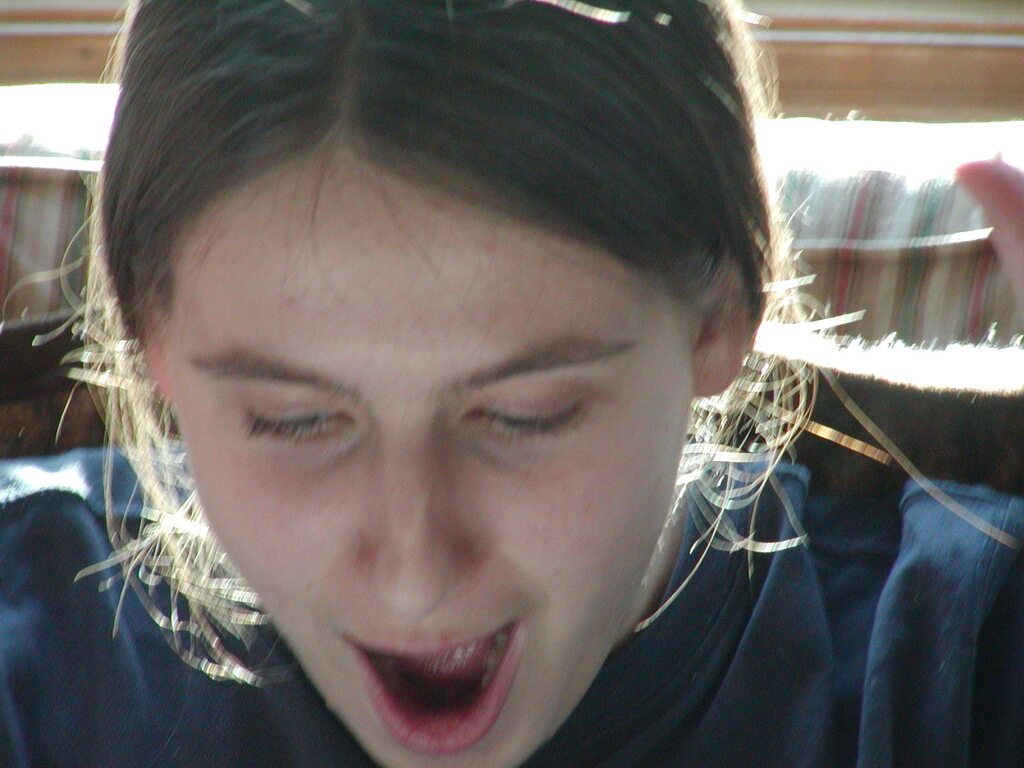 No description provided for: /2004/01-03/0323-erin+daniel+snowball/photo06.html