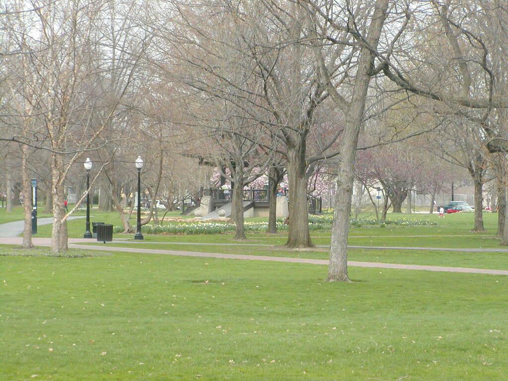 No description provided for: /2004/04-06/0419-oberlin/photo01.html