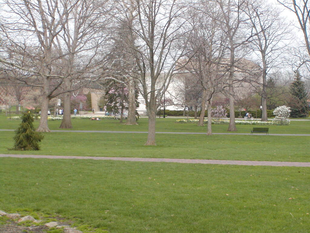 No description provided for: /2004/04-06/0419-oberlin/photo02.html