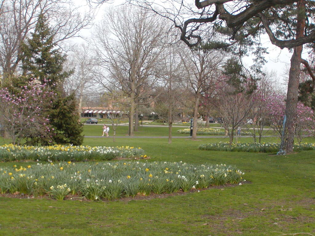 No description provided for: /2004/04-06/0419-oberlin/photo05.html