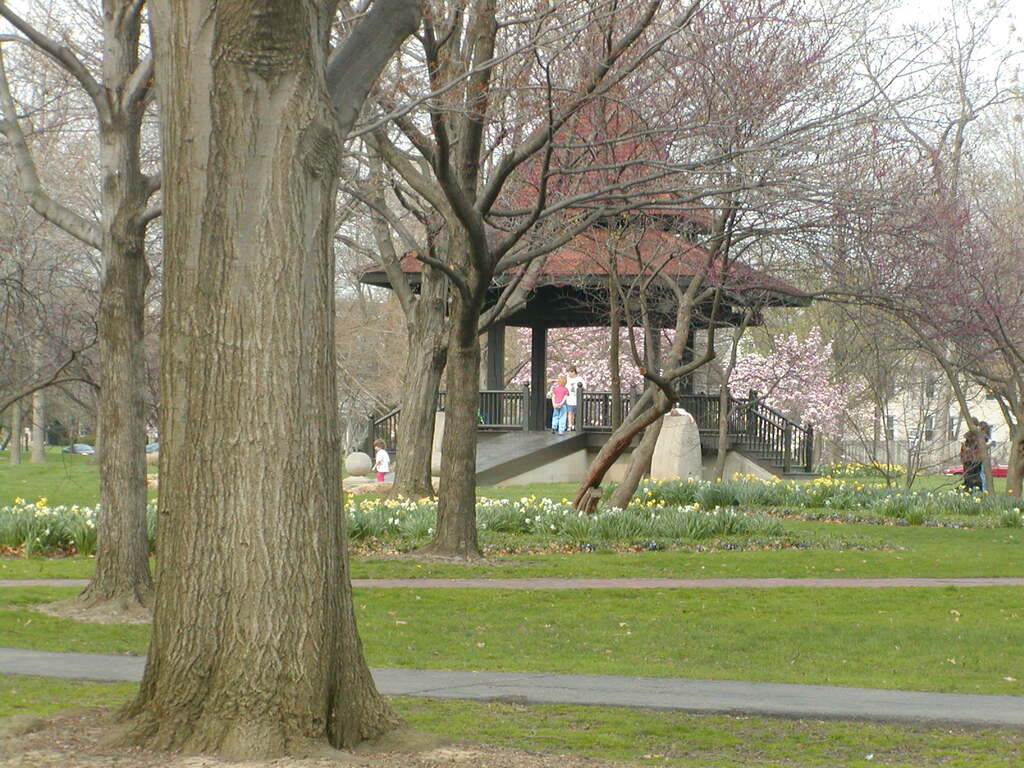 No description provided for: /2004/04-06/0419-oberlin/photo06.html