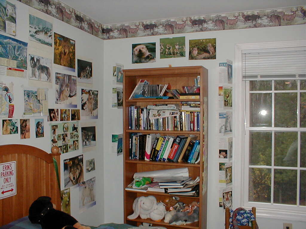 No description provided for: /2004/04-06/0424-erins-room/photo04.html