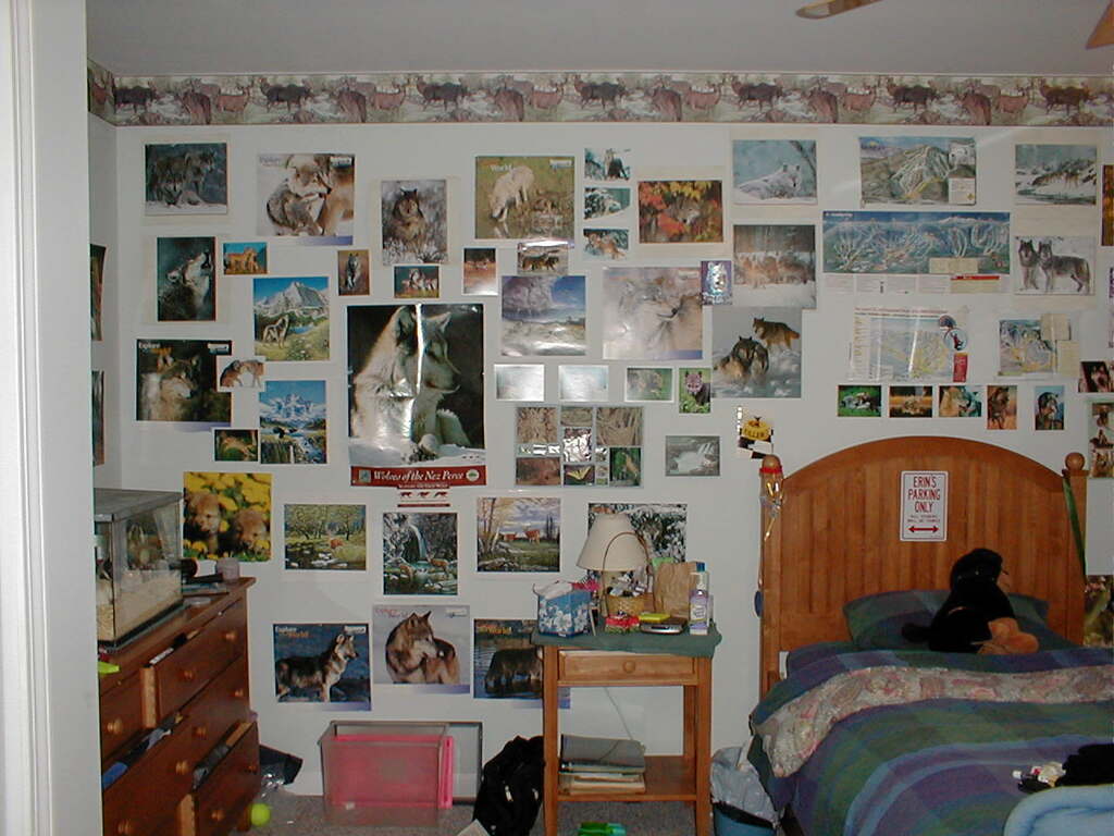 No description provided for: /2004/04-06/0424-erins-room/photo10.html