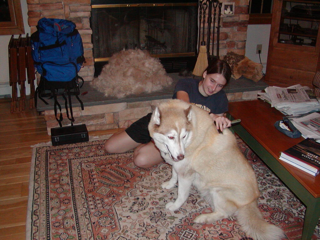 No description provided for: /2004/07-09/0715-fur-ball/photo03.html