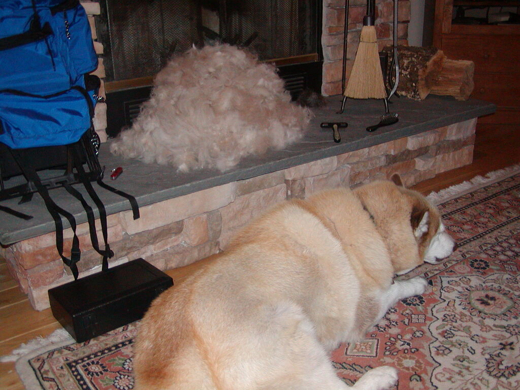 No description provided for: /2004/07-09/0715-fur-ball/photo04.html