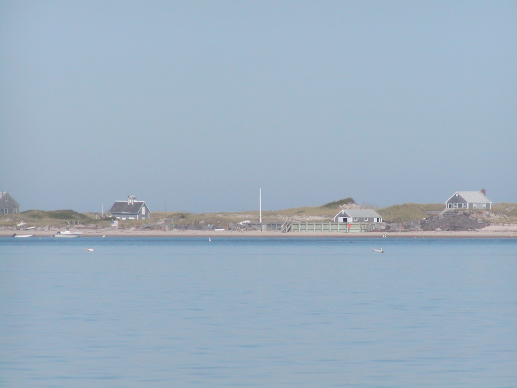 No description provided for: /2004/07-09/0922-bob+betty-seals+terns/_1/photo10.html