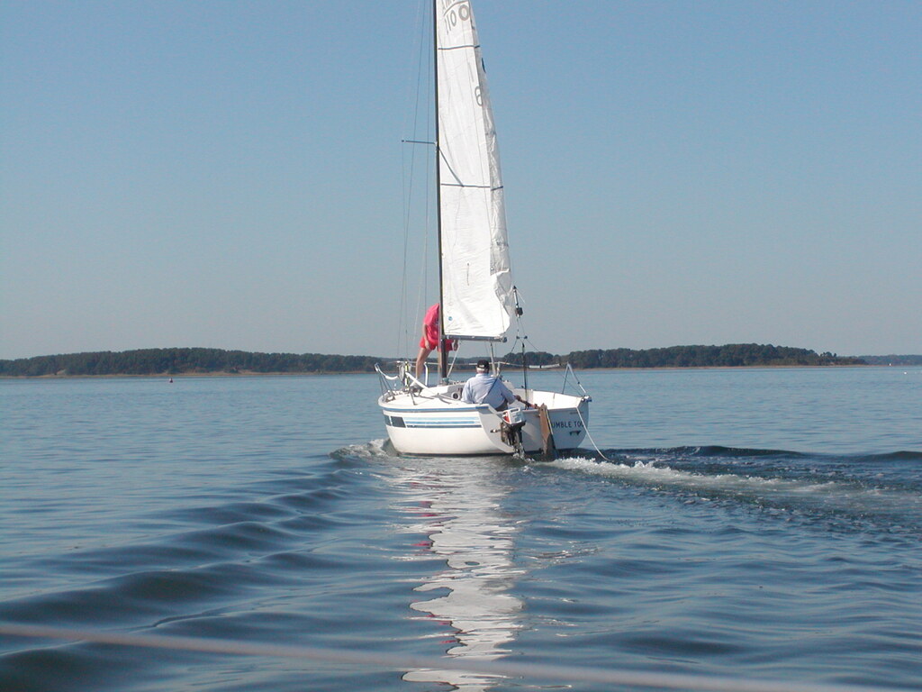 No description provided for: /2004/07-09/0922-bob+betty-seals+terns/_1/photo11.html
