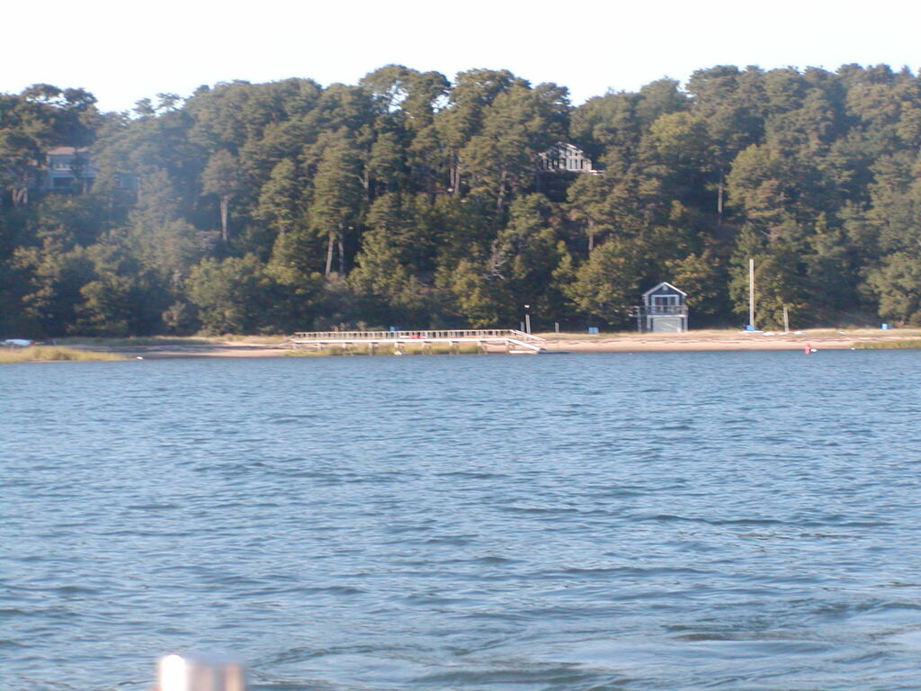 No description provided for: /2004/07-09/0922-bob+betty-seals+terns/_2/photo20.html