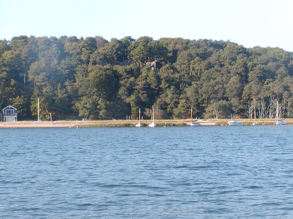 No description provided for: /2004/07-09/0922-bob+betty-seals+terns/_2/photo21.html