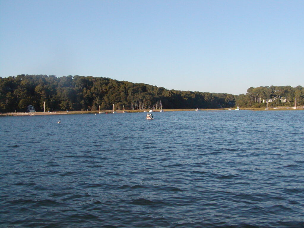 No description provided for: /2004/07-09/0922-bob+betty-seals+terns/_2/photo26.html