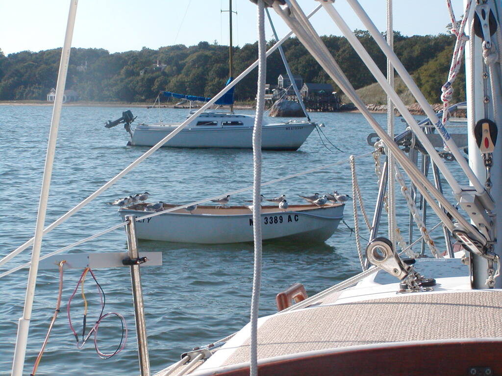 No description provided for: /2004/07-09/0926-boats+terns/photo04.html