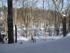 Image file: photo06.jpg