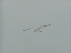 Image file: photo02.jpg