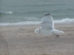 Image file: photo03.jpg