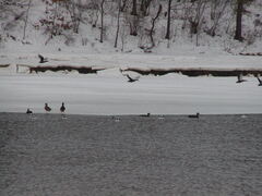 Image file: photo05.jpg