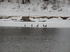 Image file: photo06.jpg