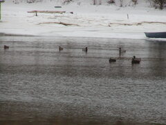 Image file: photo08.jpg