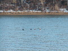 Image file: photo02.jpg