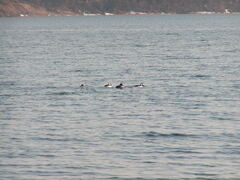 Image file: photo03.jpg