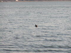 Image file: photo04.jpg