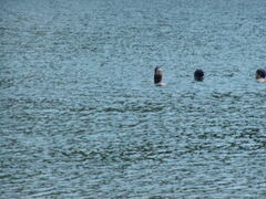 Image file: photo03.jpg